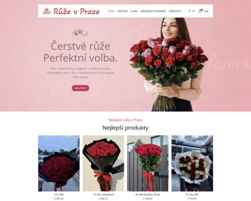 Создание интернет-магазина в Чехии